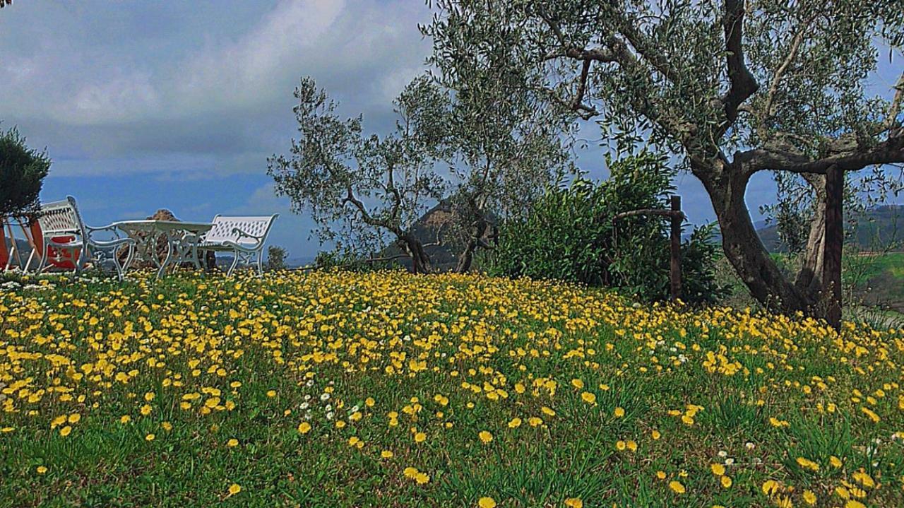 וולטרה Agriturismo Villa Felice מראה חיצוני תמונה